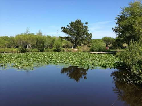 Trecombe Lakes Camborne Exterior photo